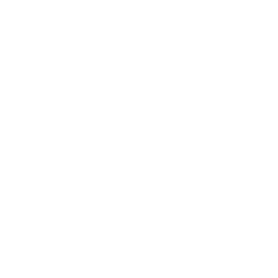 Digital Leadscout LTD